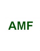 AMF